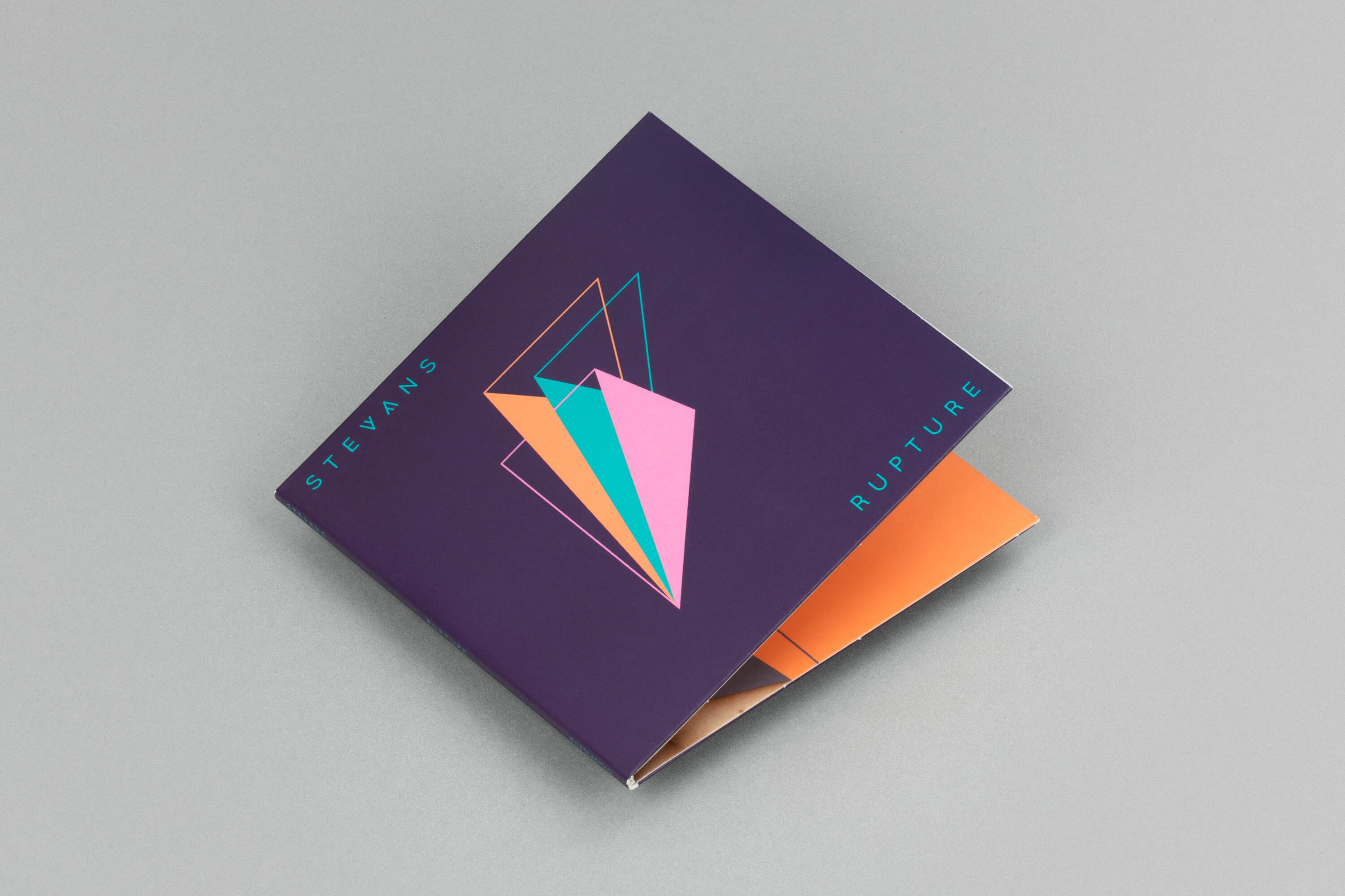 Gregory Page_Stevans Rupture_1