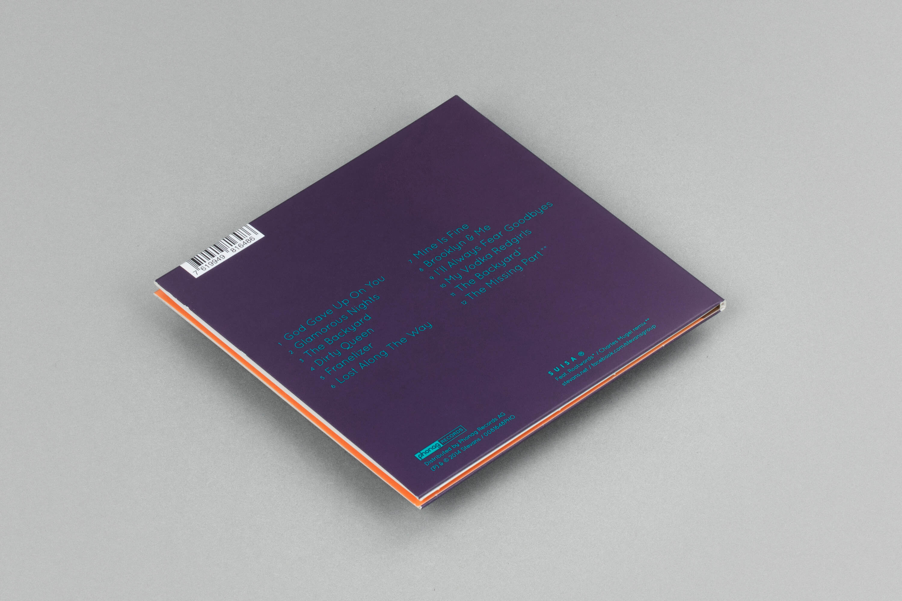 Gregory Page_Stevans Rupture_4