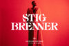 Stig Brenner / Custom Type - 1