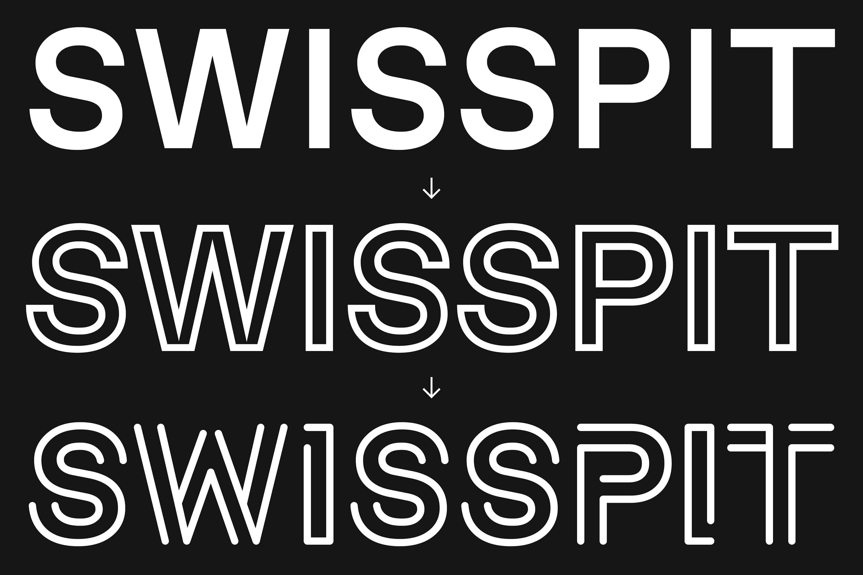 Gregory Page_Swiss Public IT / Identity_3