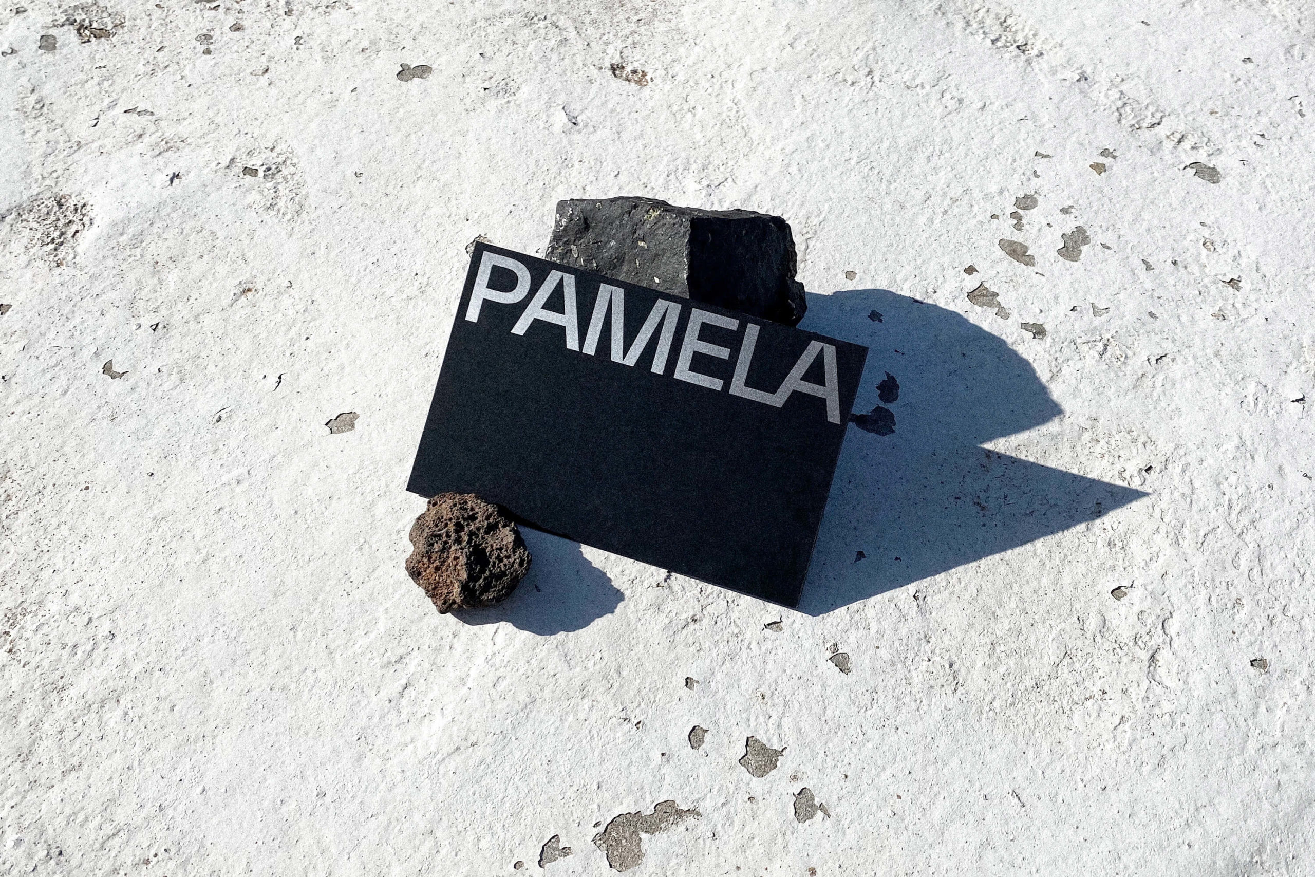 Gregory Page_Pamela Club / Monogram_6